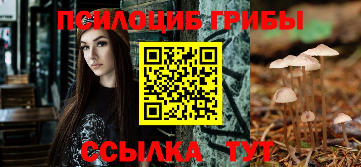 Галлюциногенные грибы ЛСД Карталы